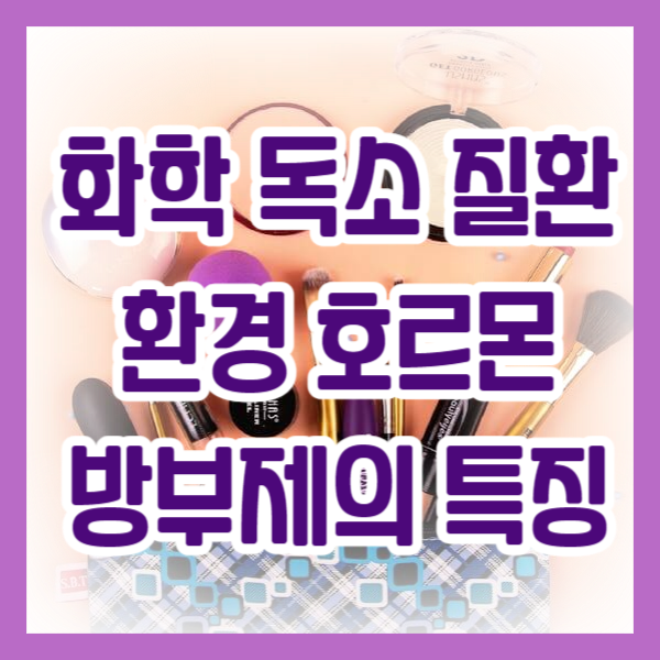 화학 독소의 질환과 환경 호르몬&방부제의 특징