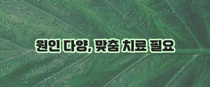 항문소양증 원인과 치료방법 확실히 알아봐야 합니다.