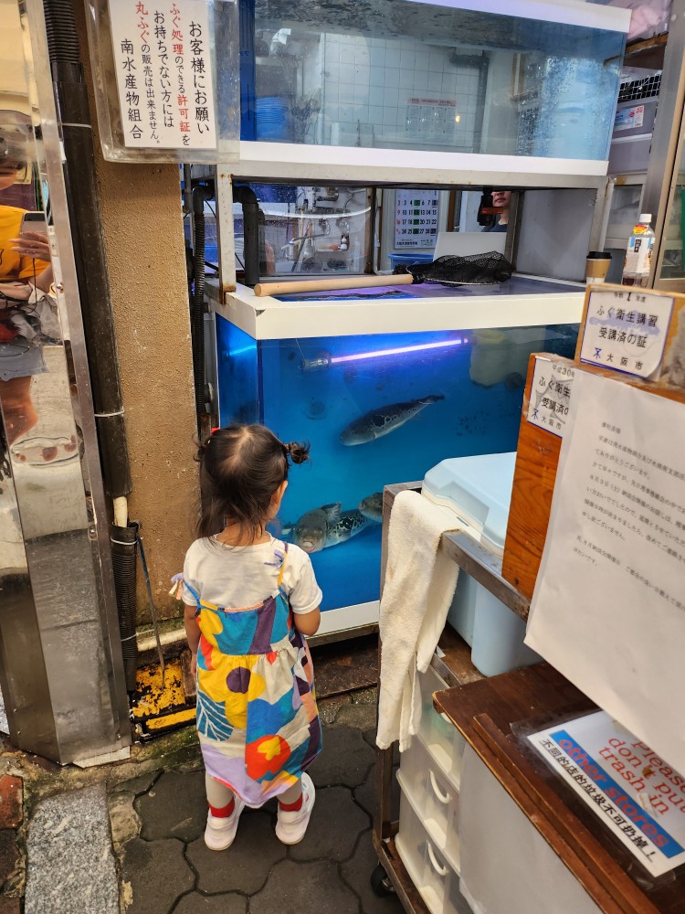 물고기를 보는 아이