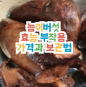 능이버섯-효능-가격-보관-방법