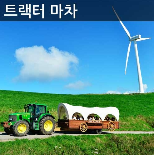 생방송투데이 대관령하늘목장 강원도 평창