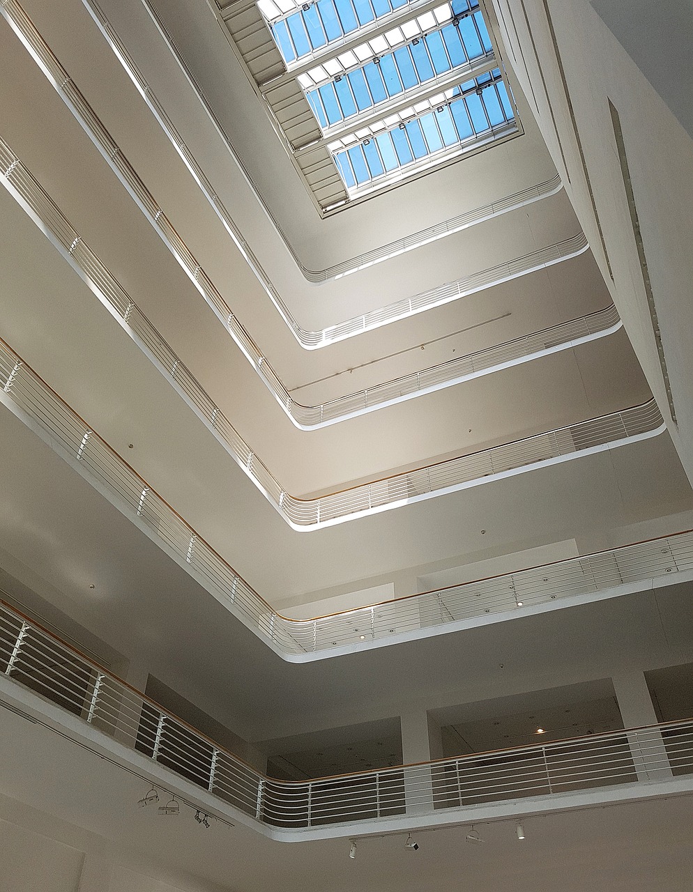 국립과천과학관