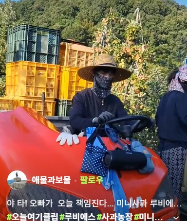 사노라면-경산-사과-구아네농장