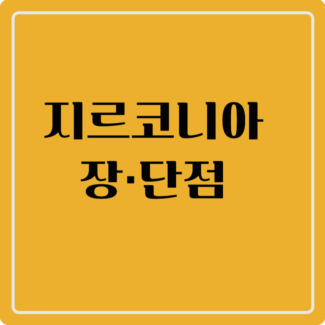 지르코니아 장 &middot; 단점