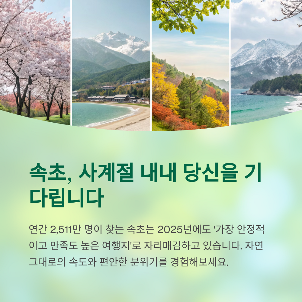 텍스트 이미지