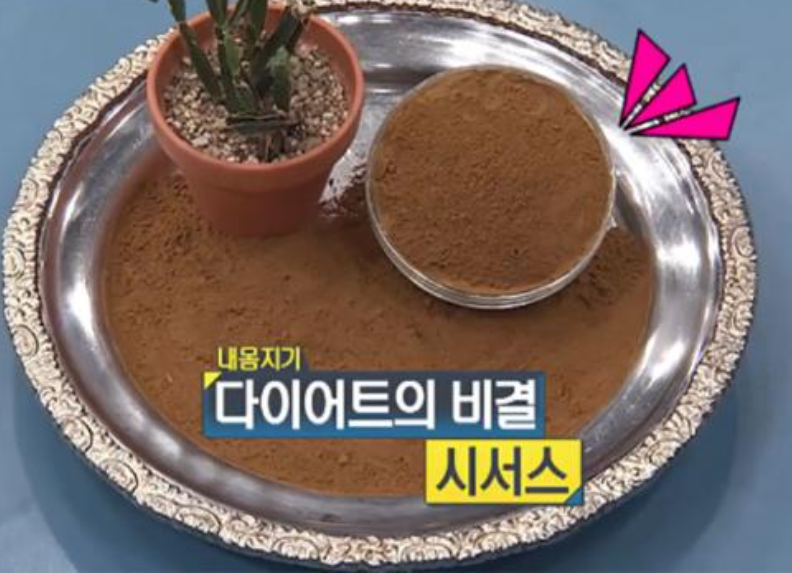 시서스 복용 방법