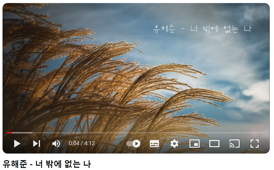 유해준-너밖에-없는-나