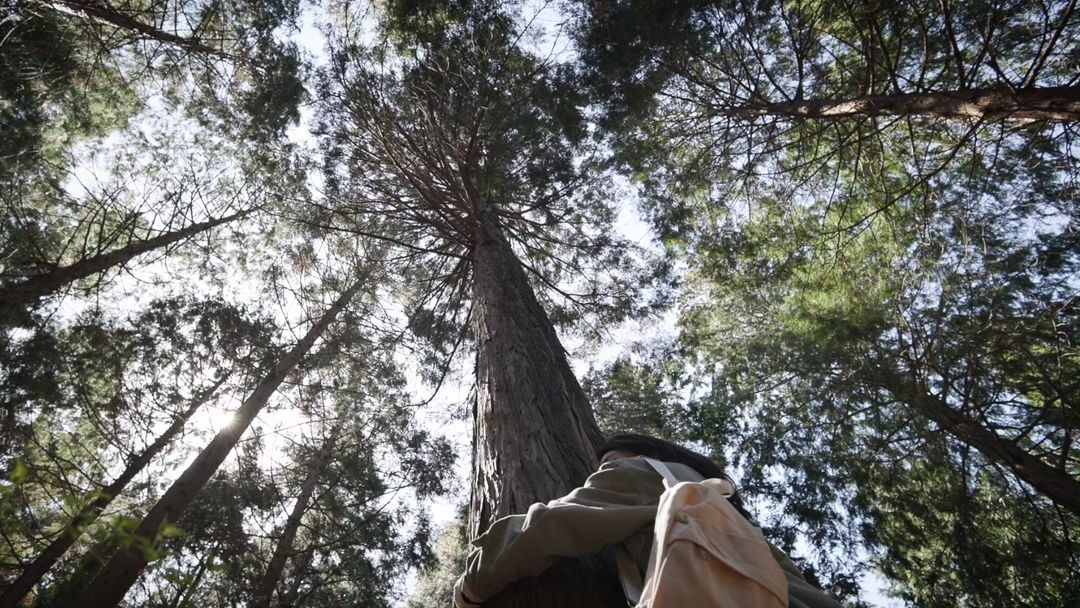 이지애 아나운서