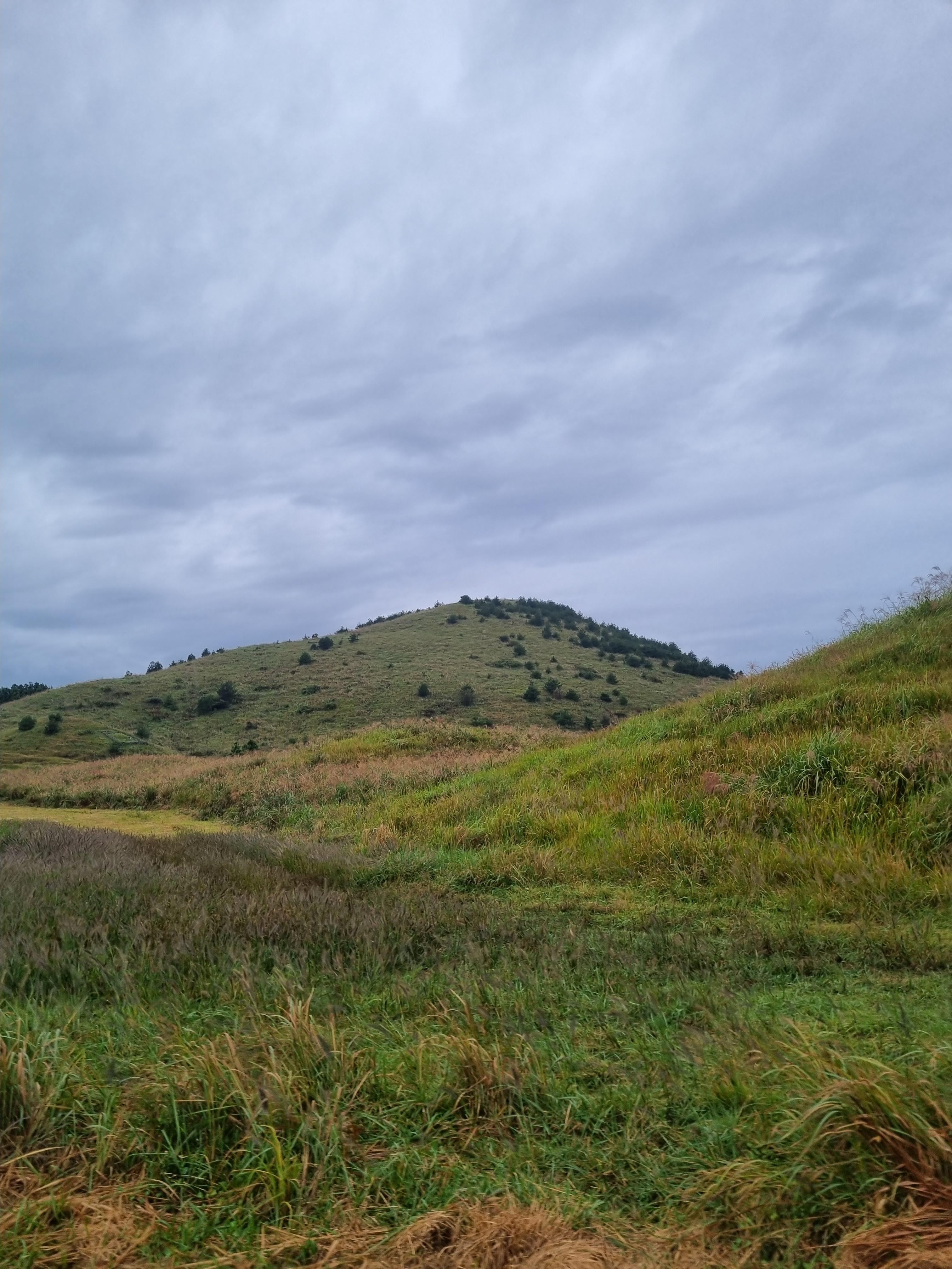 제주레일바이크