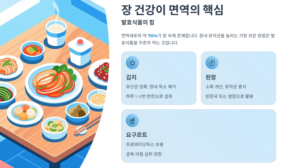 장 건강이 면역의 핵심, 발효식품의 힘