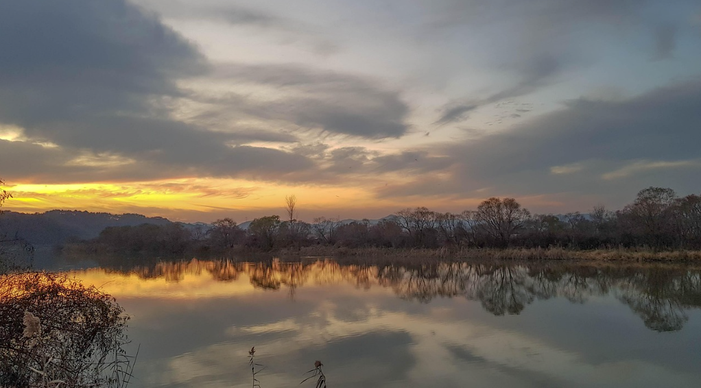 금강 관련 사진