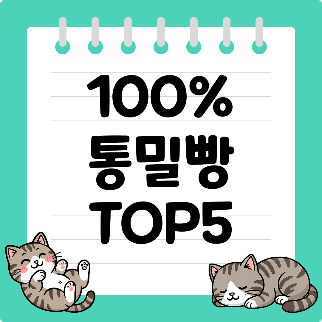 다이어트용 당뇨 걱정 없는 100% 통밀빵 추천 순위 TOP5