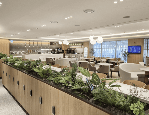 더라운지 앱 무료입장