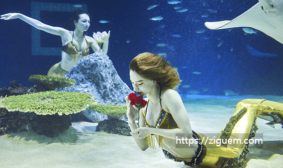 63빌딩 파빌리온