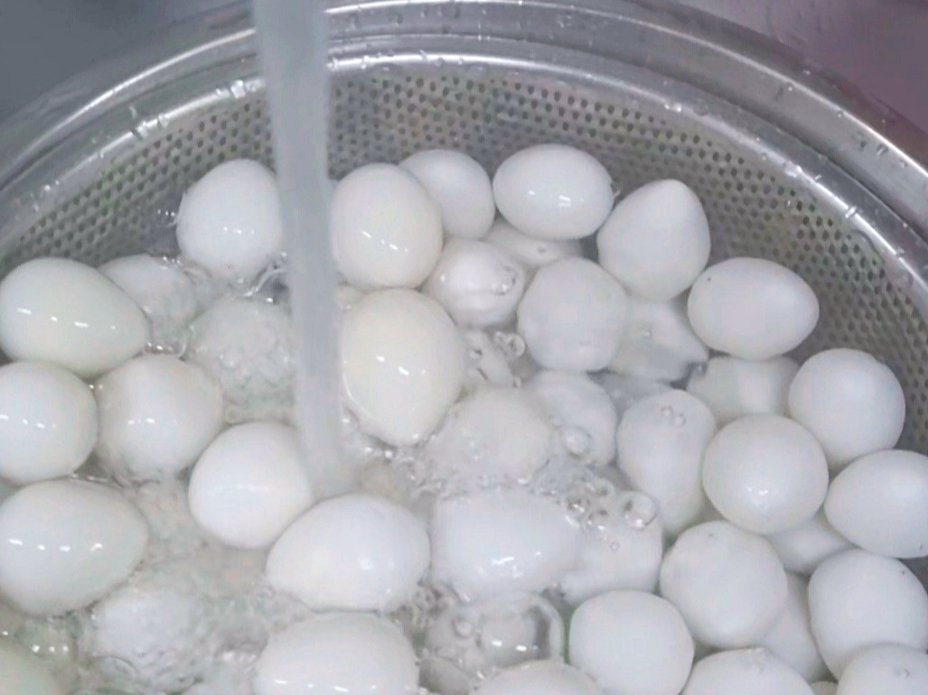 밥 상위의 작은 밥도둑 단짠 꽈리고추 메추리알장조림 만들기 (메추리알 삶는 방법)