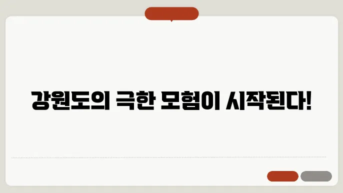 강원도 익스트림