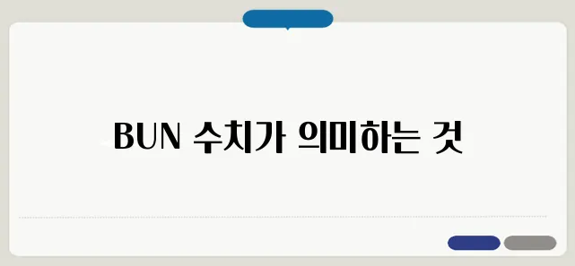 BUN 수치 정상 범위와 의미