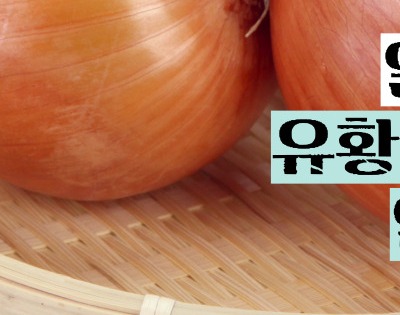 양파즙 효능 고혈압
