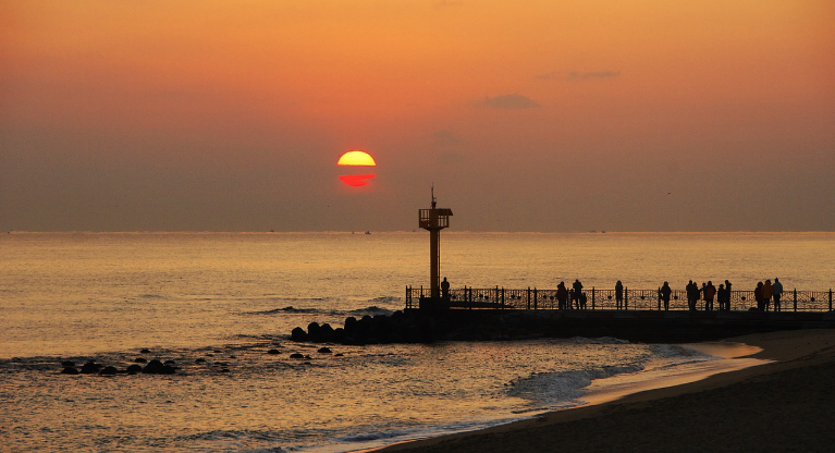 강릉의 로컬 맛집 여행