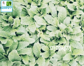 기관지 질환 예방