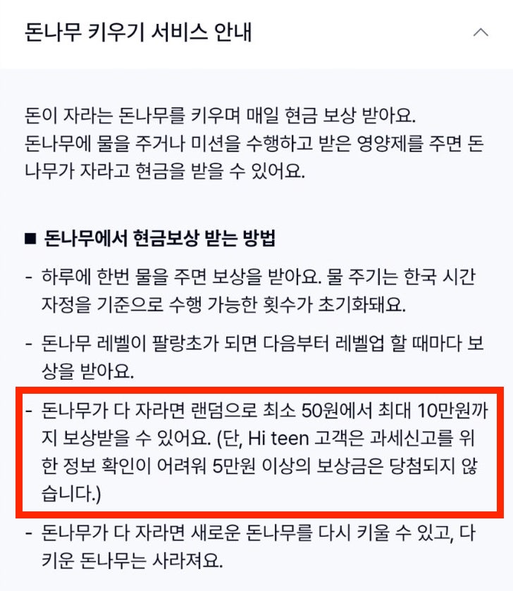 돈나무 키우기 안내