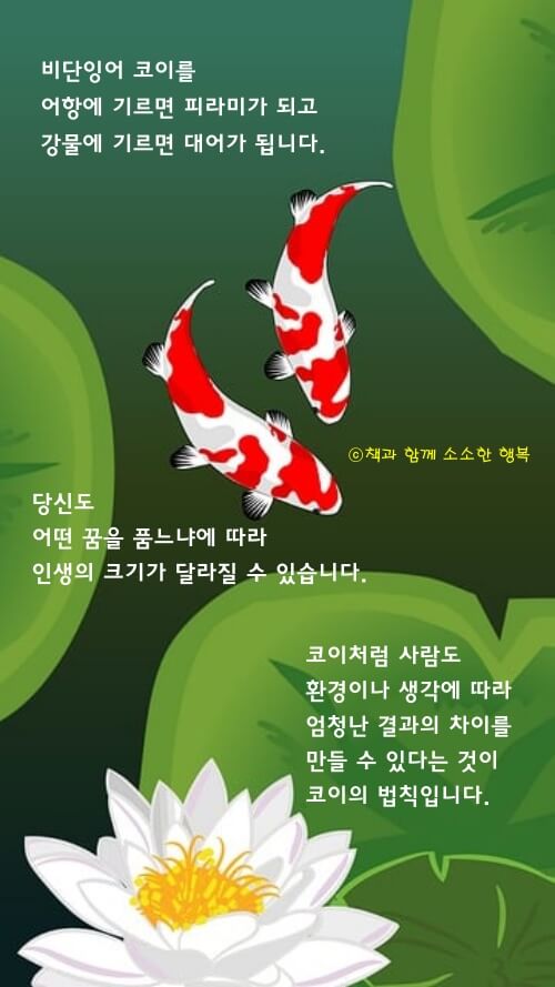 코이의 법칙 핵심 내용이 들어간 이미지