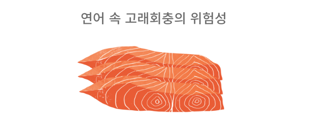 연어속 고래회충