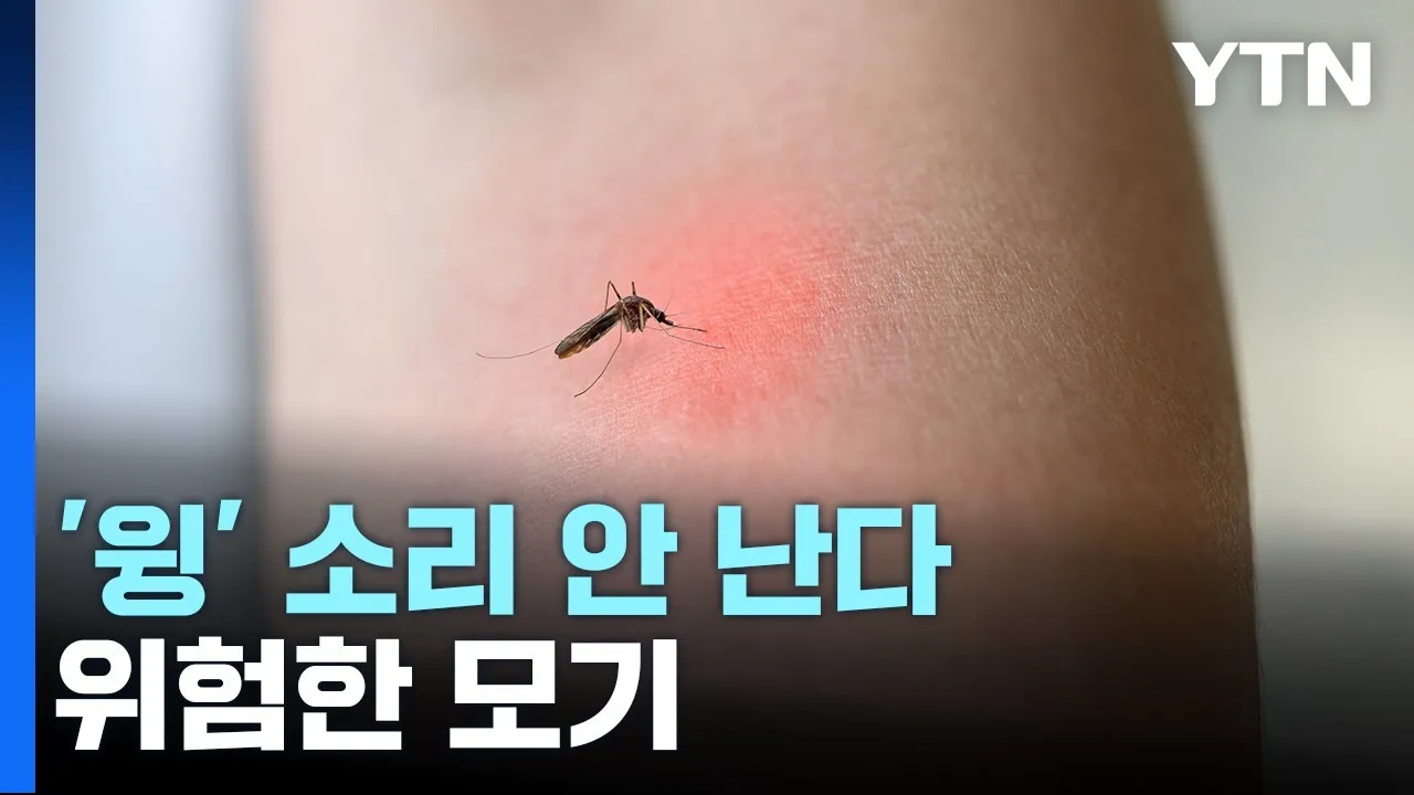 모기 물렸을 때 가려움증 없애는 법 효과적인 민간요법_5