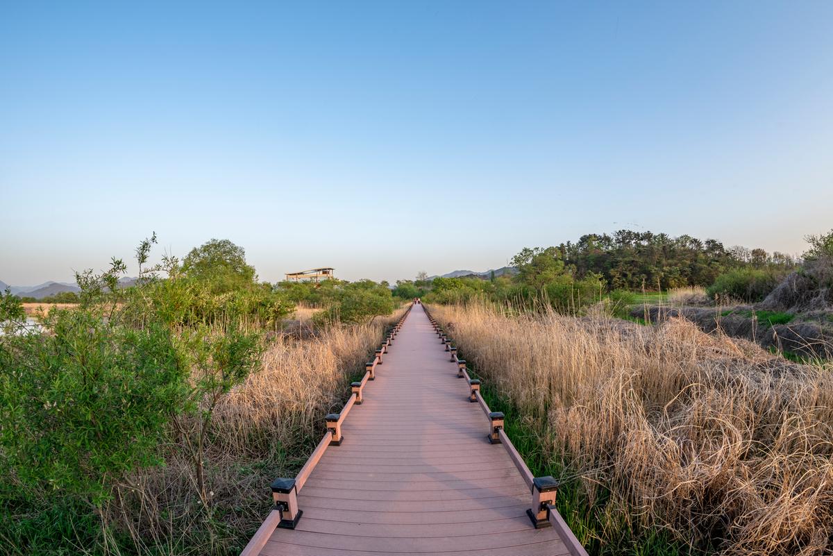 화포천습지의 아름다운 데크길