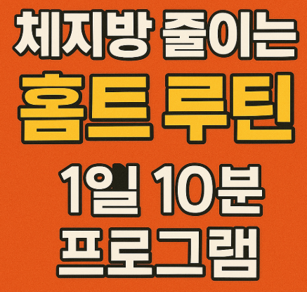 체지방 줄이는 홈트 루틴 관련 사진