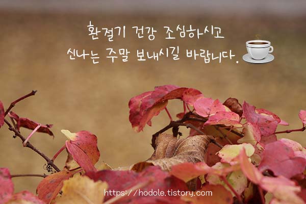 환절기
