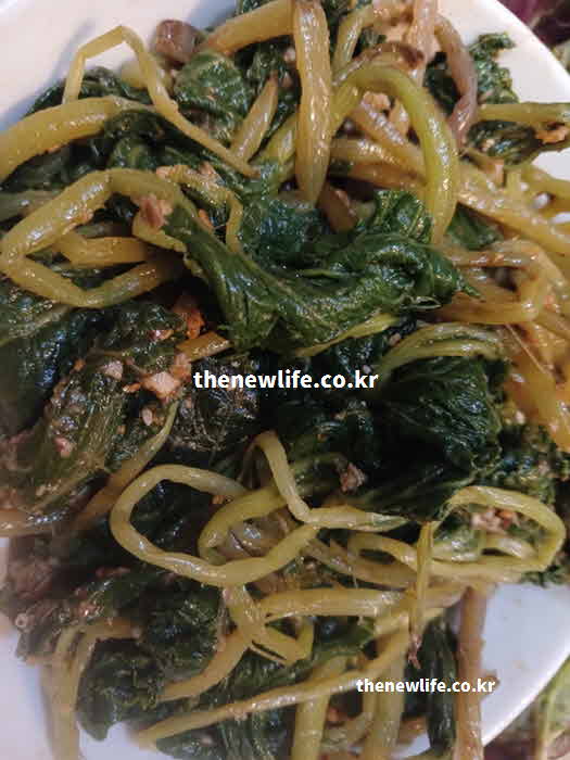 머위 효능 조리법 수용성 영양 성분