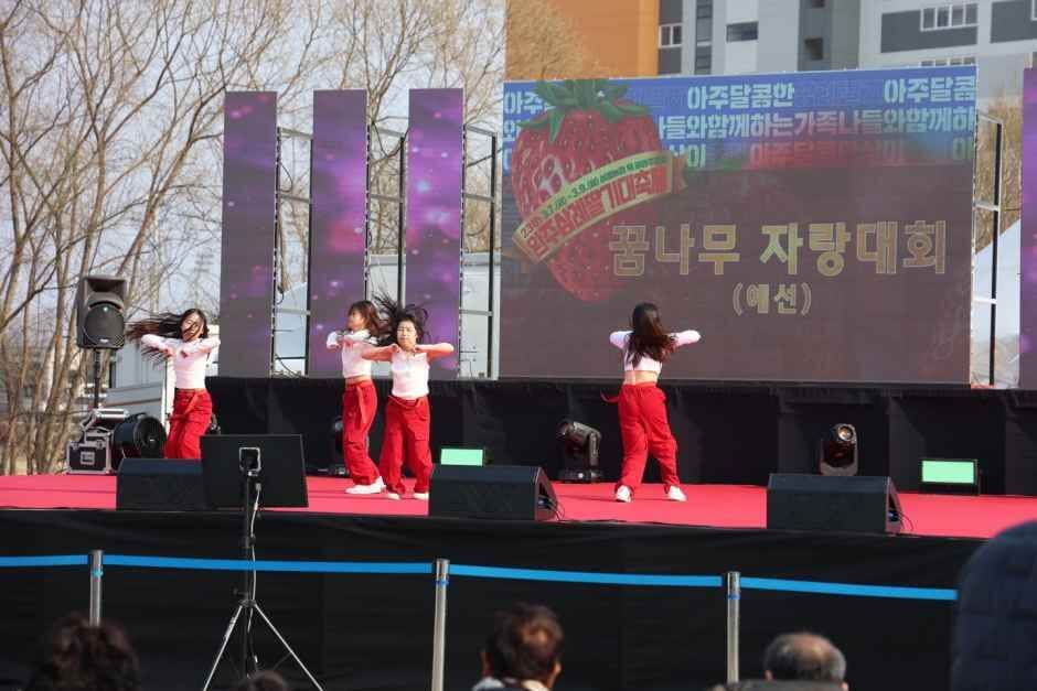 완주 삼례 딸기대축제