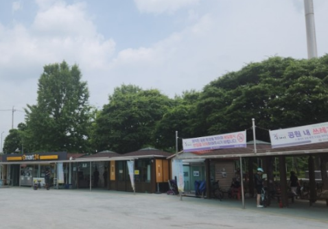 구리코스모스축제-한강예술제-자전거대여 빌려타기-근처맛집-2023년.총정리