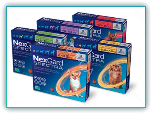 넥스가드 스펙트라