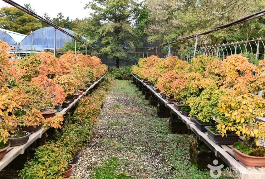 순창 가볼만한곳 베스트 10