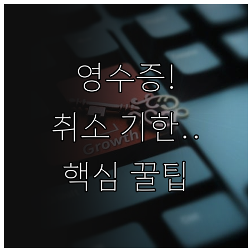 현금영수증 자진발급 취소와 정정 가능..