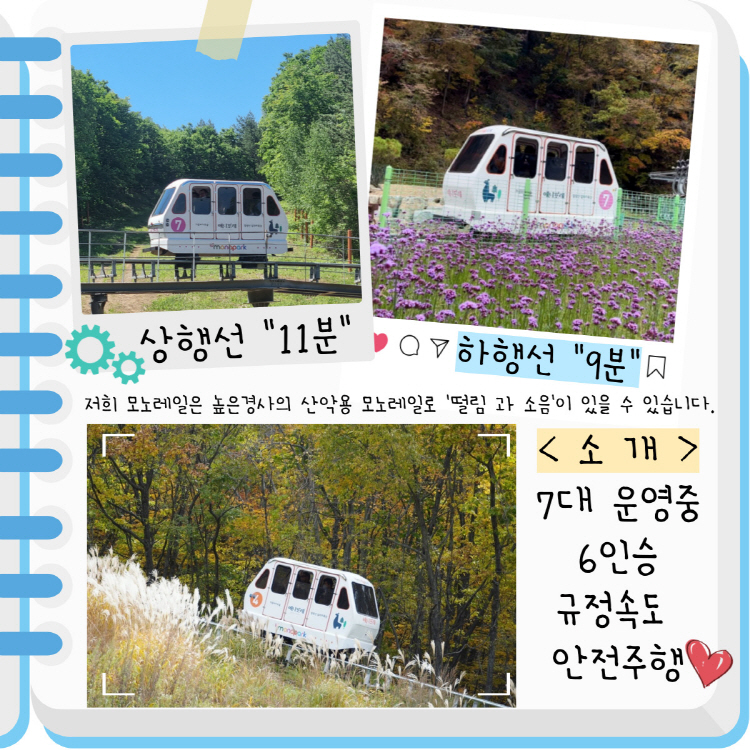평창 애니포레
