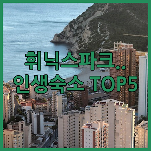 평창 휘닉스파크 숙소 베스트 5 신축..