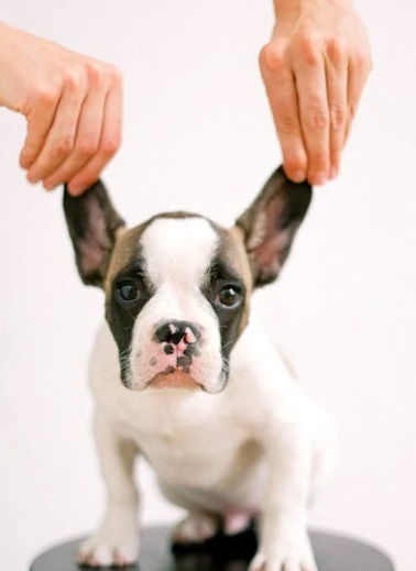 이명 관리법과 식단 관리