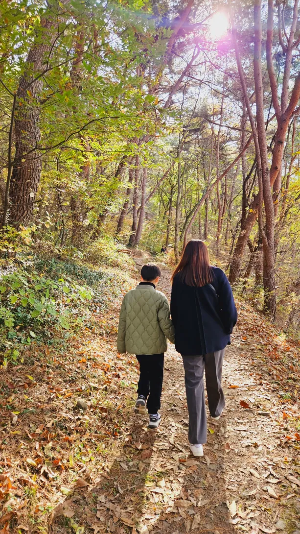 밀양 금시당 은행나무