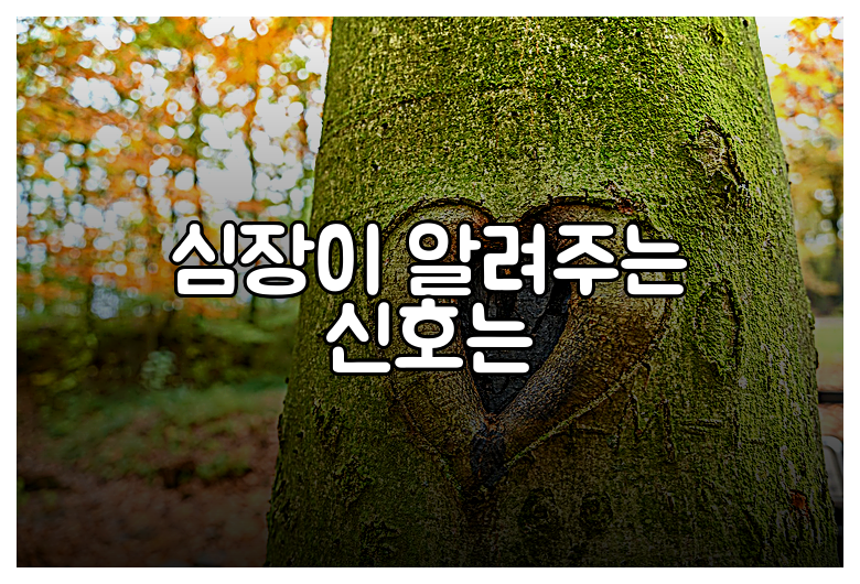 심장이 알려주는 신호는