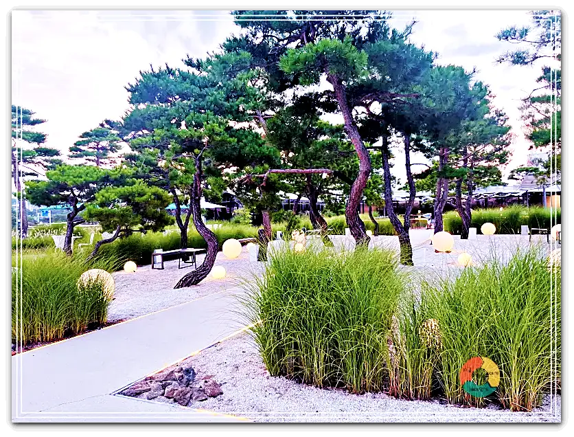 엔드투앤드_엔드투앤드_에필로그존3-소나무-조명-벤치