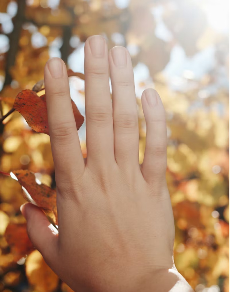 손톱 색과 모양으로 건강 신호를 확인할 수 있는 손톱 클로즈업