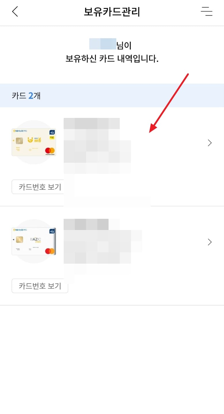 NH 농협카드 내 카드 조회
