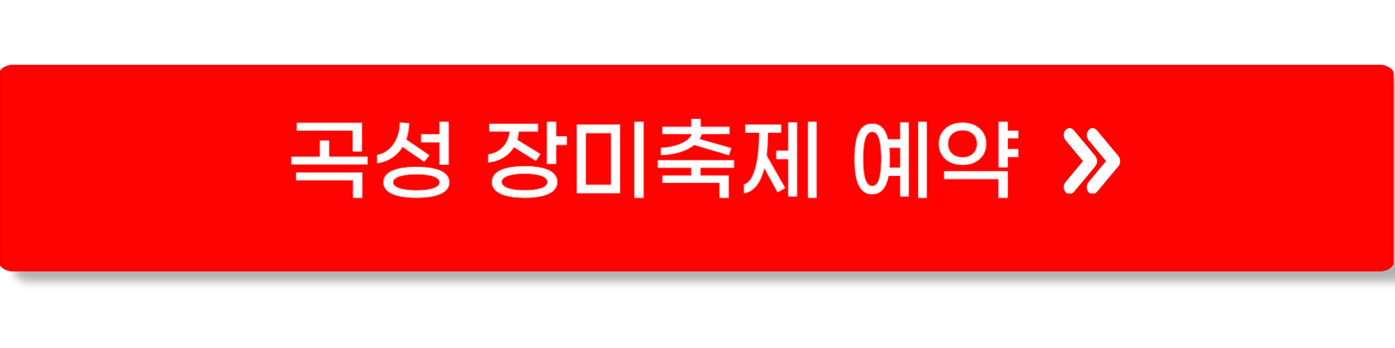 곡성 장미축제12