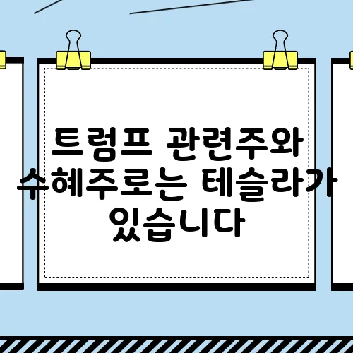 트럼프 관련주와 수혜주로는 테슬라가 있습니다, 주목해 보세요.