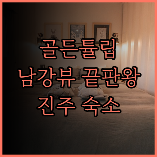 진주 골든튤립호텔 남강 숙박 후기 진