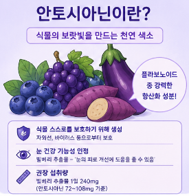 안토시아닌-효능-음식-종류-블루베리-영양제-추천-제품