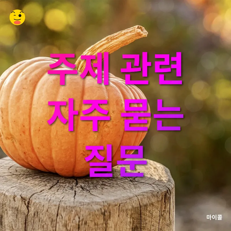 계절별 옷장 정리_4